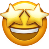 feature icon