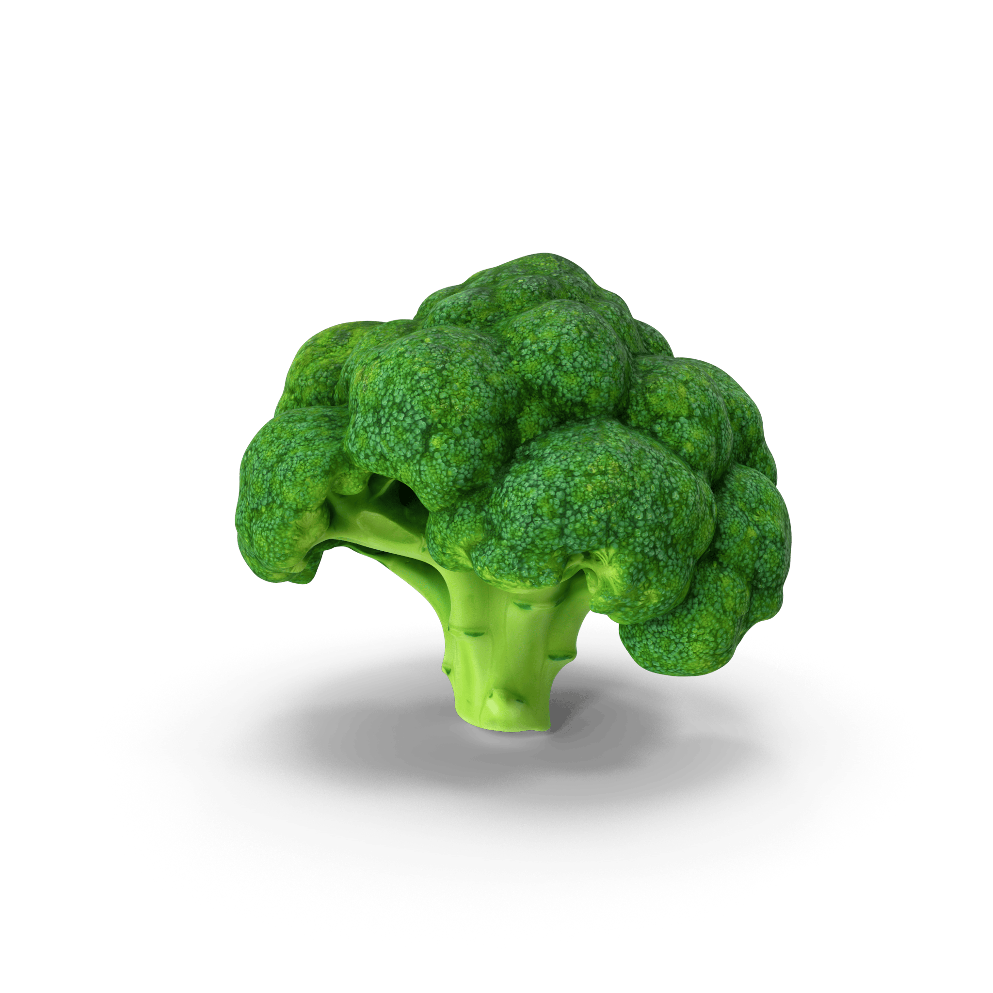 BroccoliScan.H03.2k